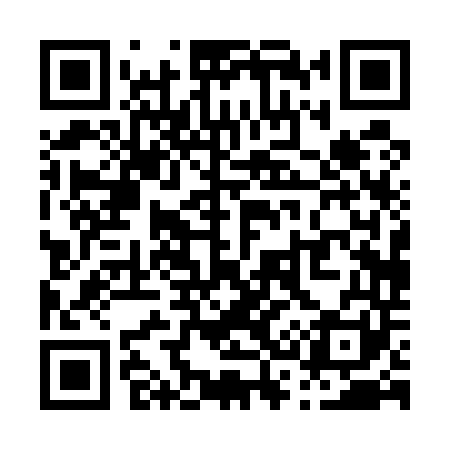 QR code for P30541