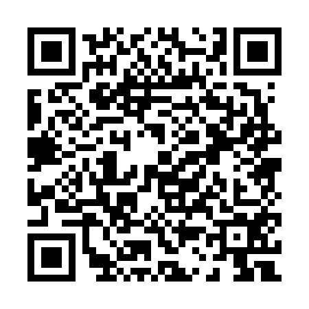 QR code for P306544