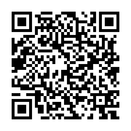 QR code for P308325