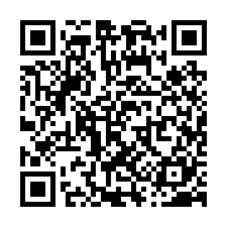 QR code for P31225