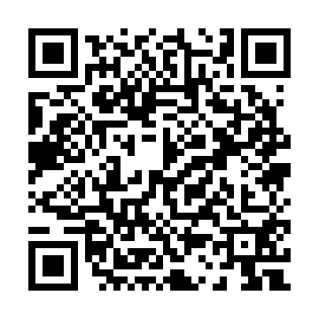 QR code for P312509