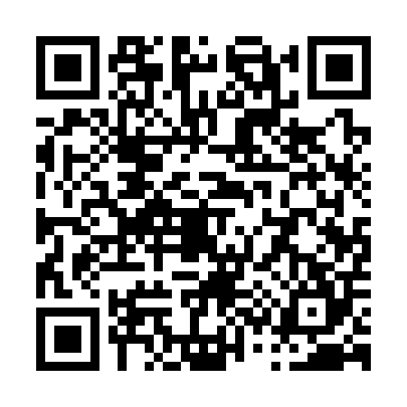 QR code for P313043