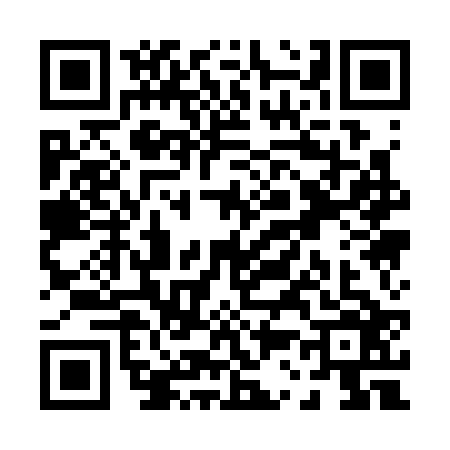 QR code for P313261