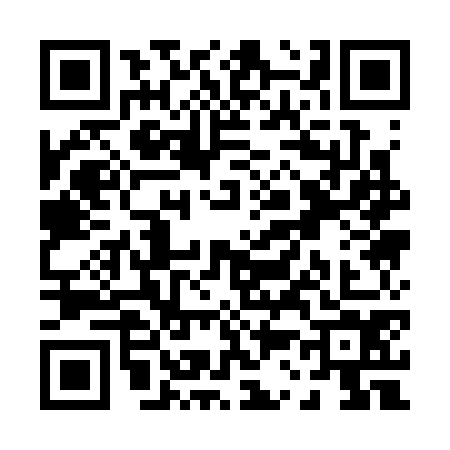 QR code for P313745