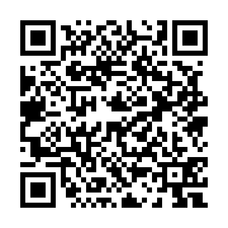 QR code for P315312