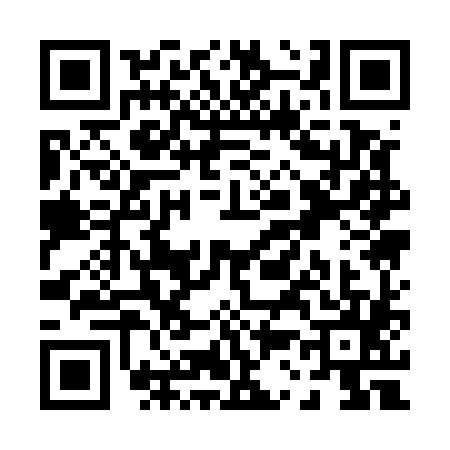 QR code for P315857