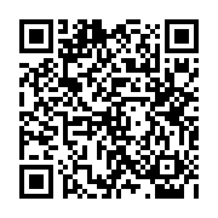 QR code for P316506