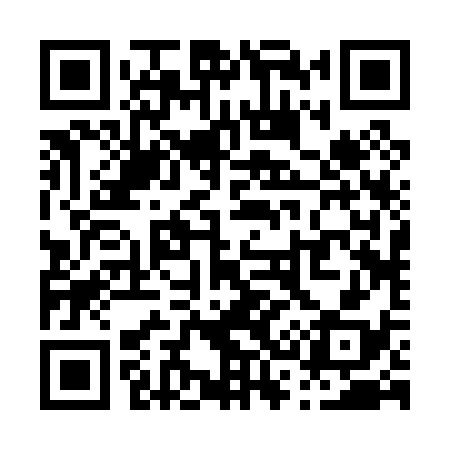 QR code for P32038