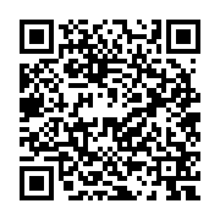 QR code for P322628