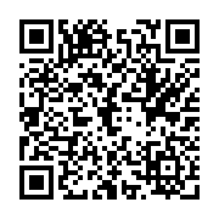 QR code for P323358