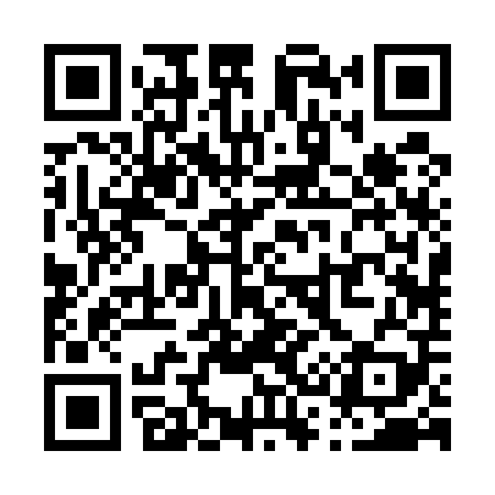 QR code for P32509