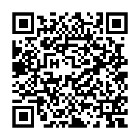 QR code for P330111