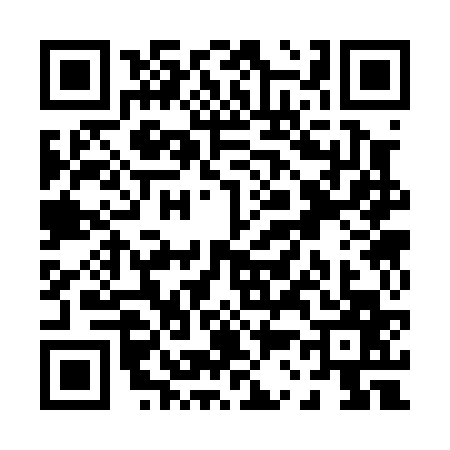 QR code for P330675