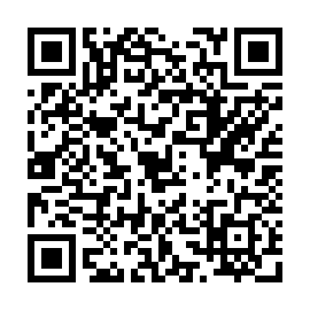 QR code for P332383