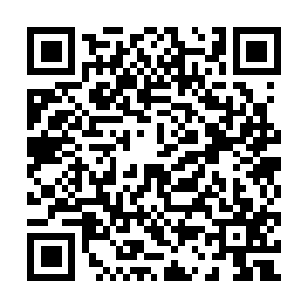 QR code for P333176