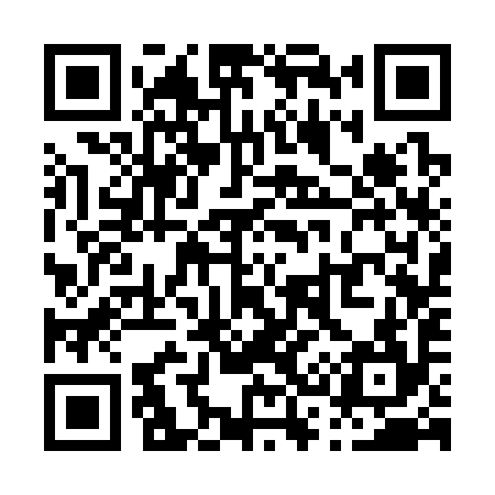 QR code for P33394