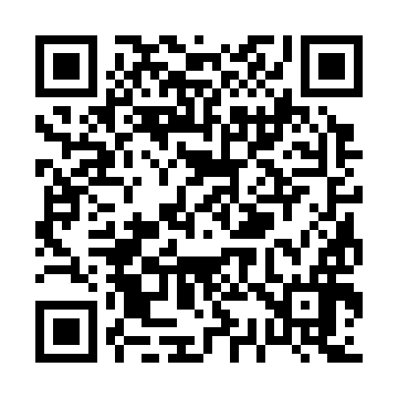 QR code for P33396