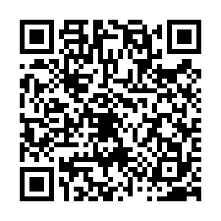 QR code for P334325