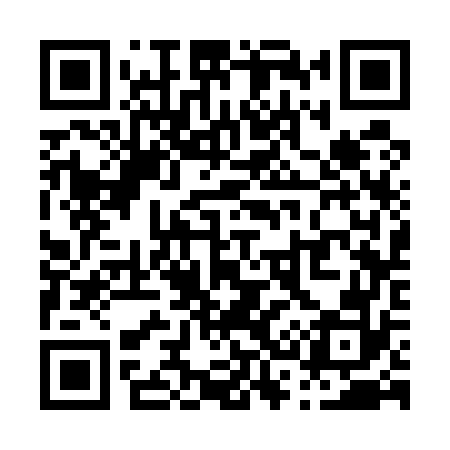 QR code for P33572