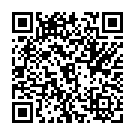 QR code for P336911