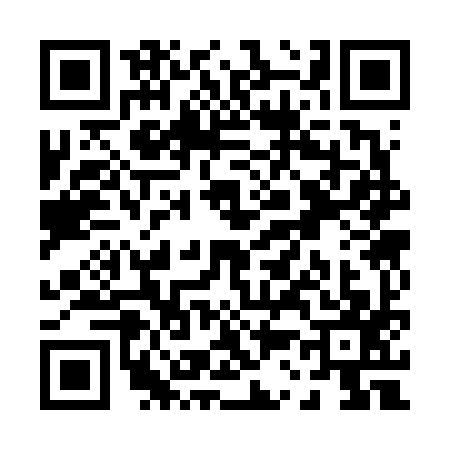 QR code for P336971