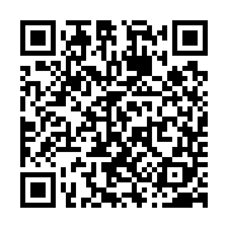 QR code for P33748