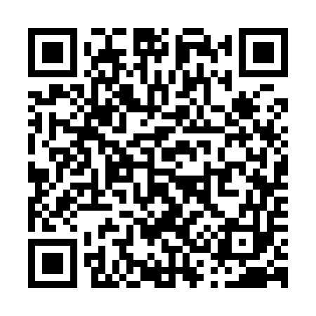 QR code for P33953