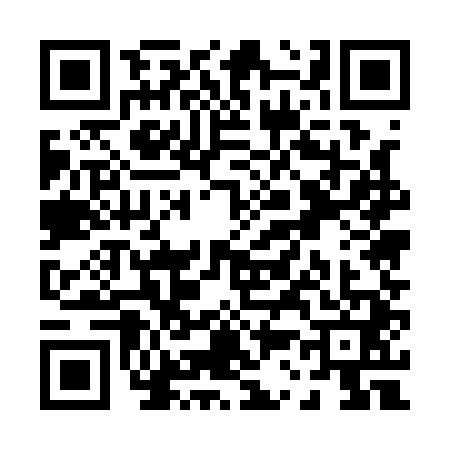 QR code for P351411
