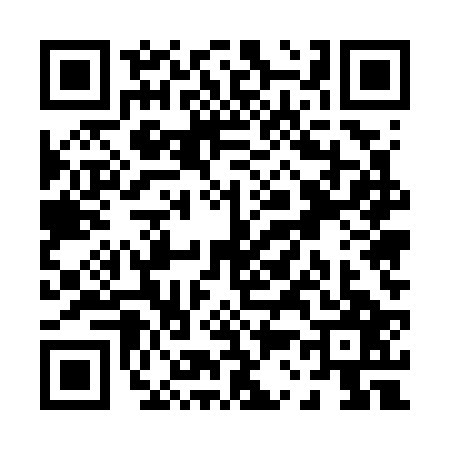 QR code for P357272