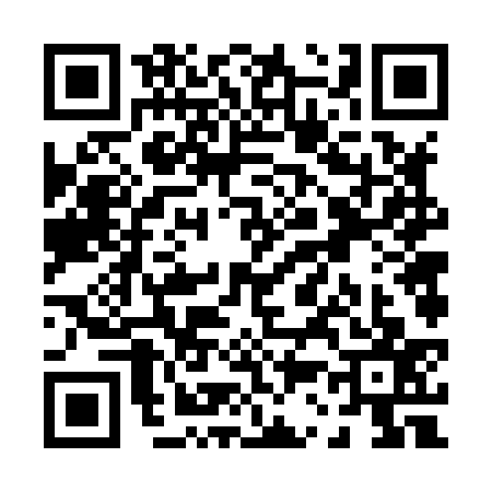 QR code for P368379