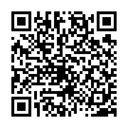 QR code for P376910