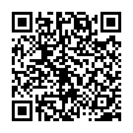 QR code for P377085