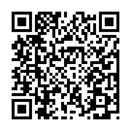 QR code for P377419