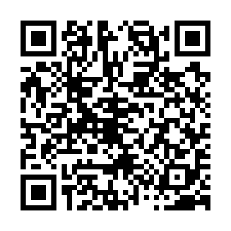 QR code for P377983