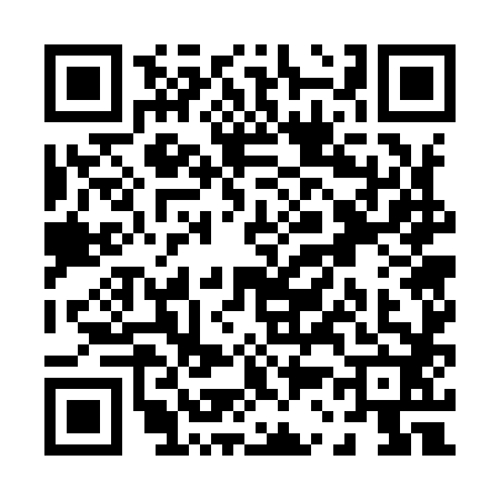 QR code for P379826