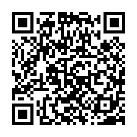 QR code for P38011