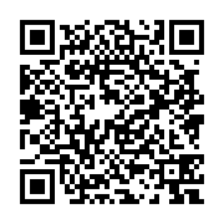 QR code for P380388