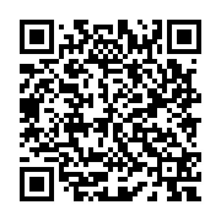 QR code for P38120