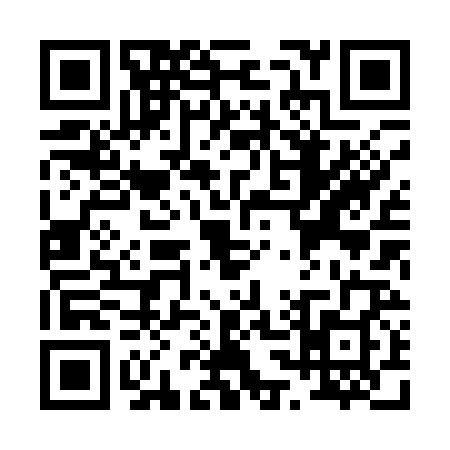 QR code for P381286