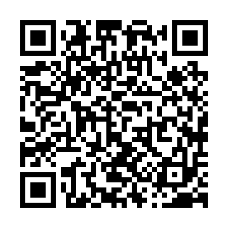 QR code for P38213