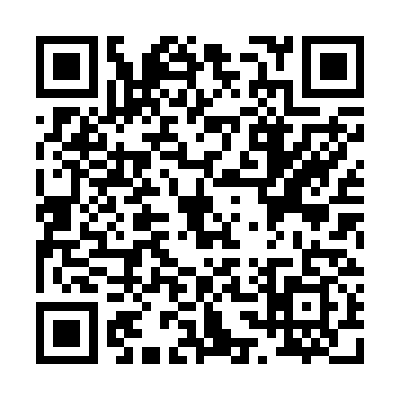QR code for P382393