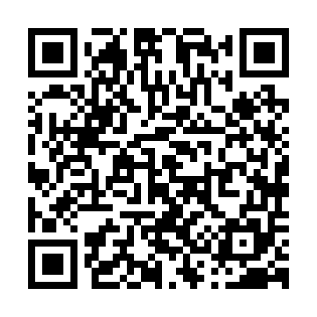 QR code for P38255