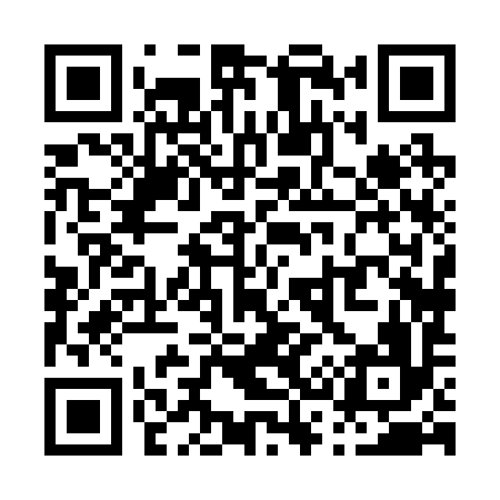 QR code for P38296