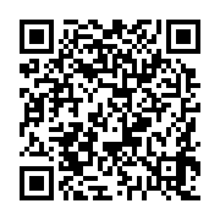 QR code for P38399