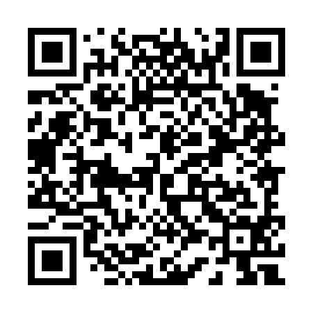 QR code for P38494