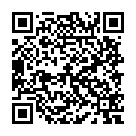 QR code for P38519