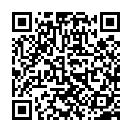 QR code for P38528