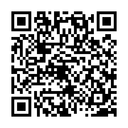 QR code for P385340