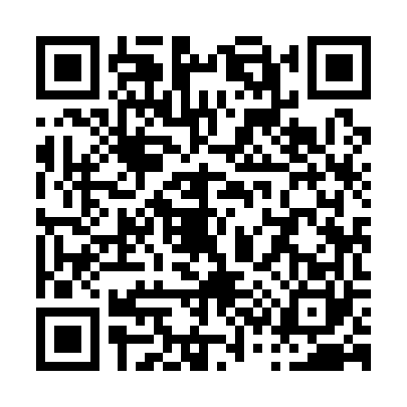 QR code for P391608