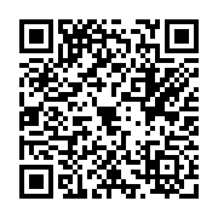 QR code for P393737